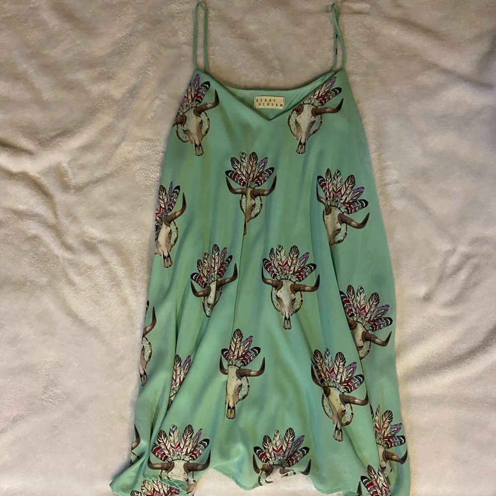 Berry N Cream Mint steer skull dress